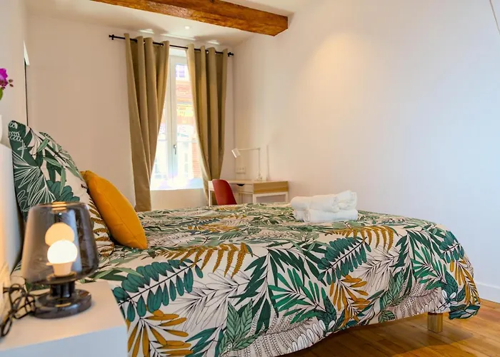 Le Saint Rome - Hypercentre 툴루즈